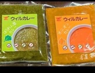 ほうれん草カレー＆オニオンカレー　各200ｇ入　10パックセット【食品添加物不使用】【お買い得！】